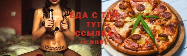 хмурый Арсеньев