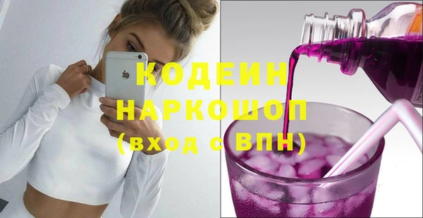 хмурый Арсеньев