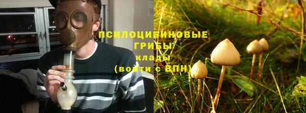 трава Баксан