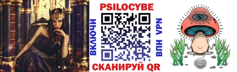 Купить  Вилючинск  Галлюциногенные грибы мухоморы 